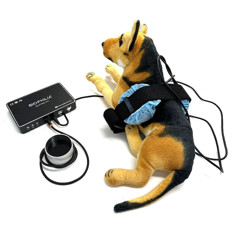 Bioresonance Device Dog Health Analyzer