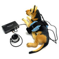 Bioresonance Device Dog Health Analyzer