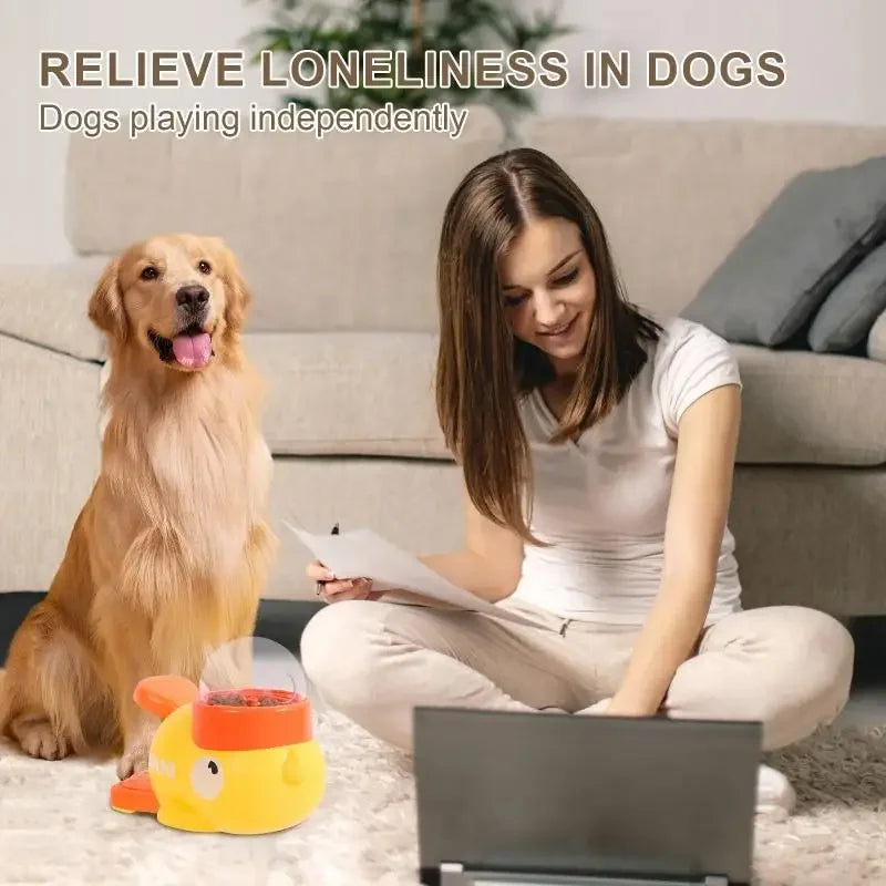 2-in-1 Interactive Dog Automatic Food