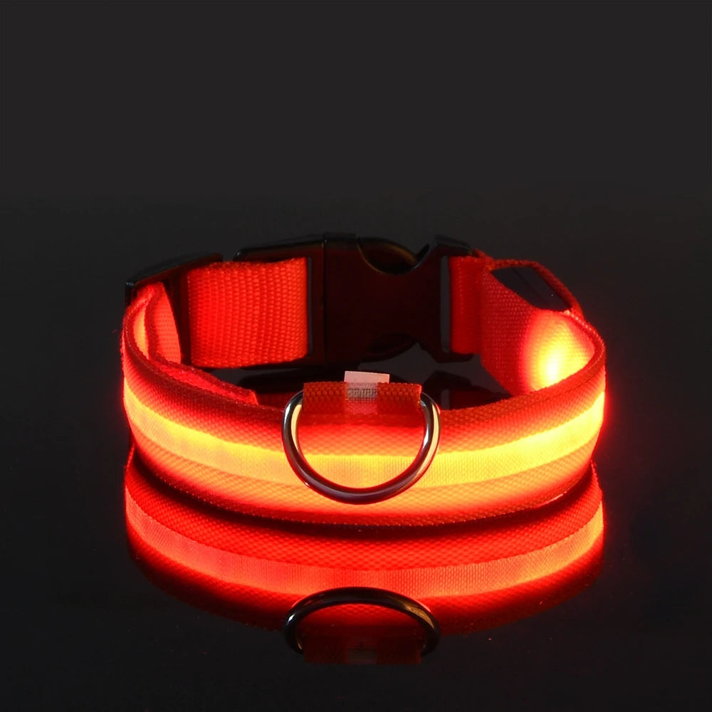 Luminous Fluorescent Dog Collar