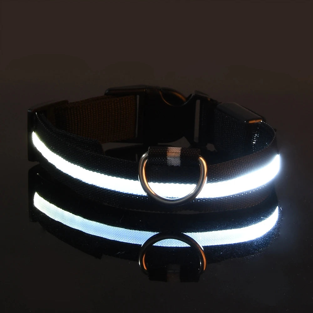 Luminous Fluorescent Dog Collar
