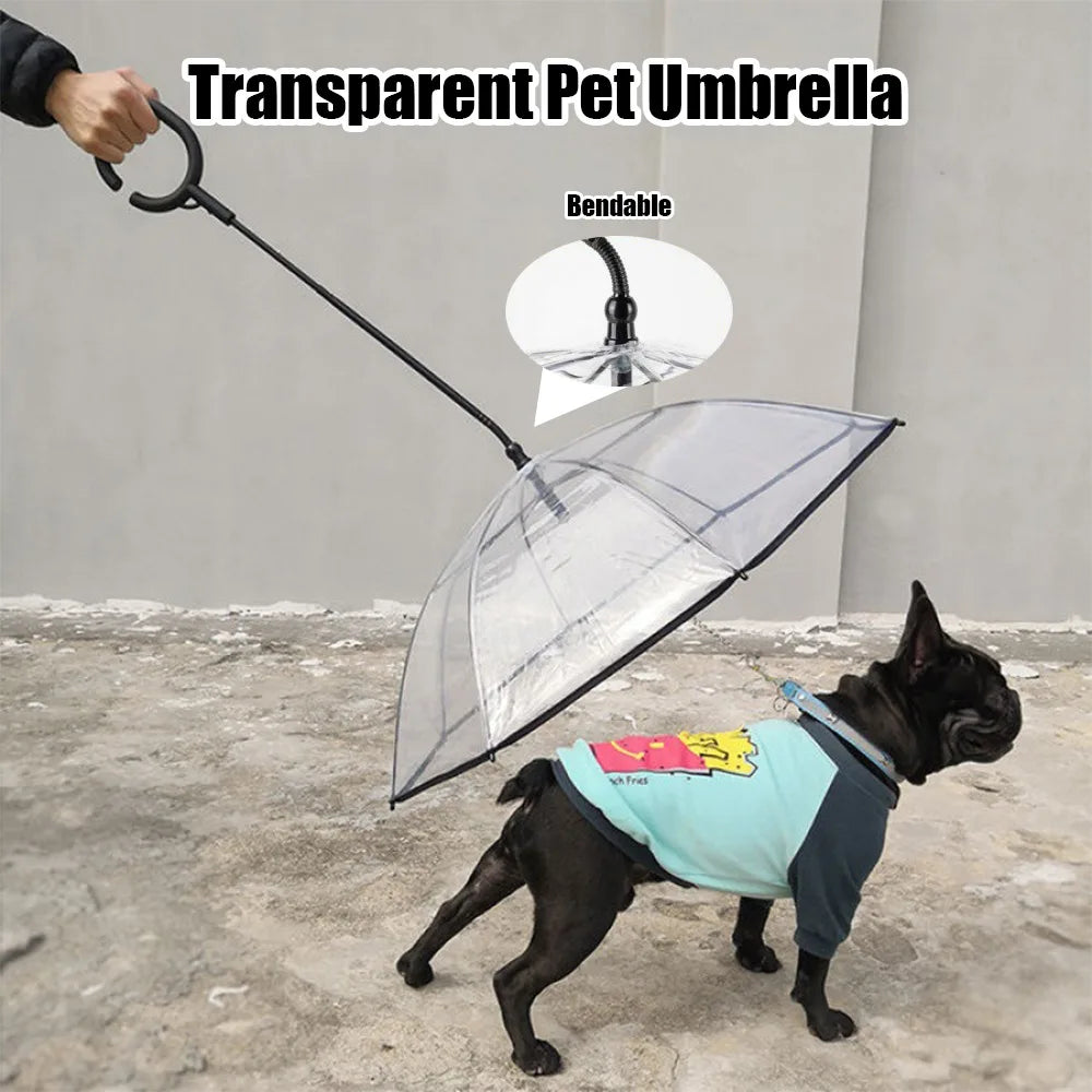New Transparent Umbrella