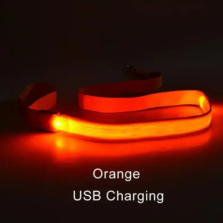 Luminous Rope Lead Leash