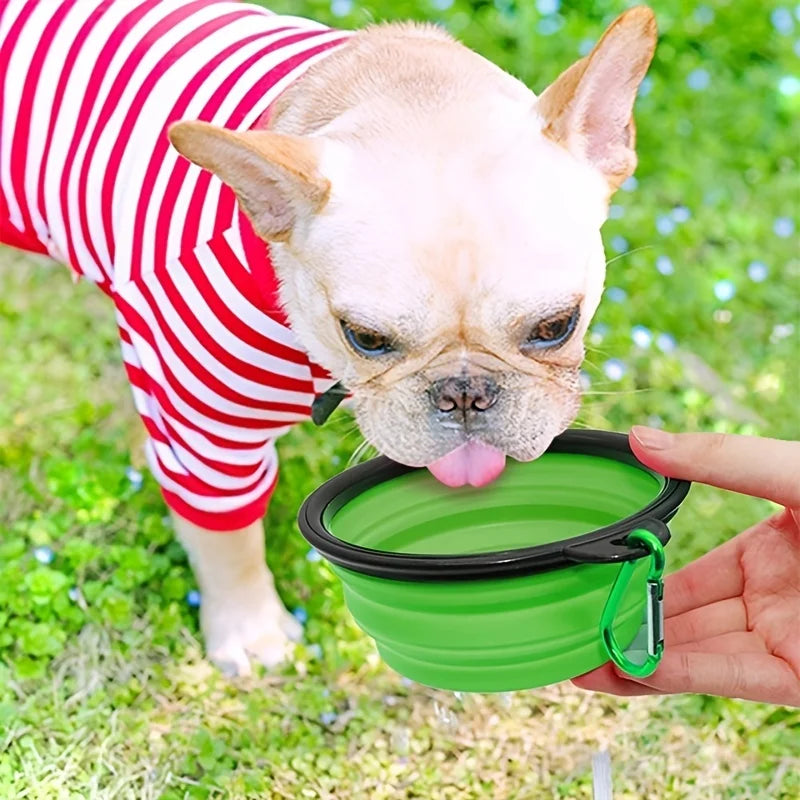 Portable Food Bowl