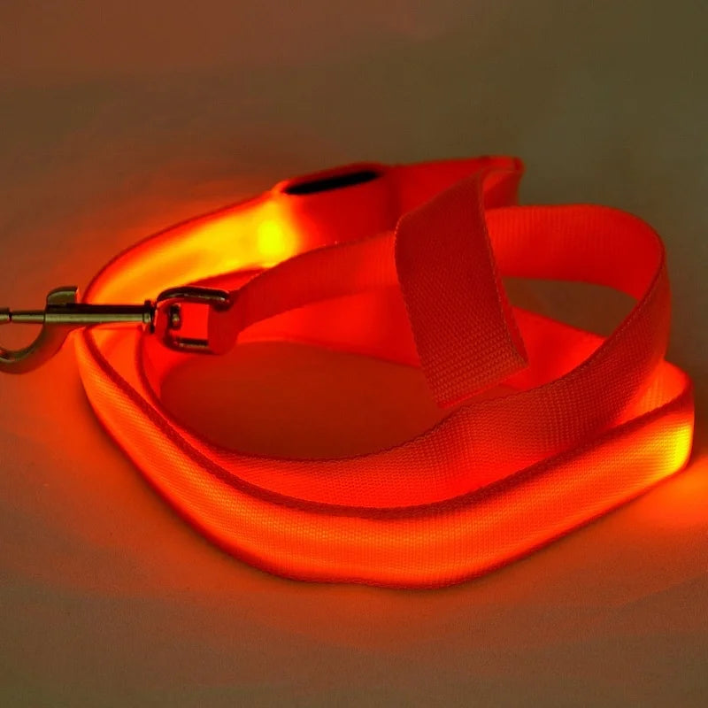 Luminous Rope Lead Leash