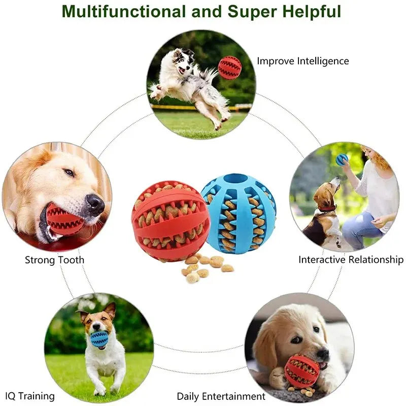Nontoxic Bite Resistant Toy Ball