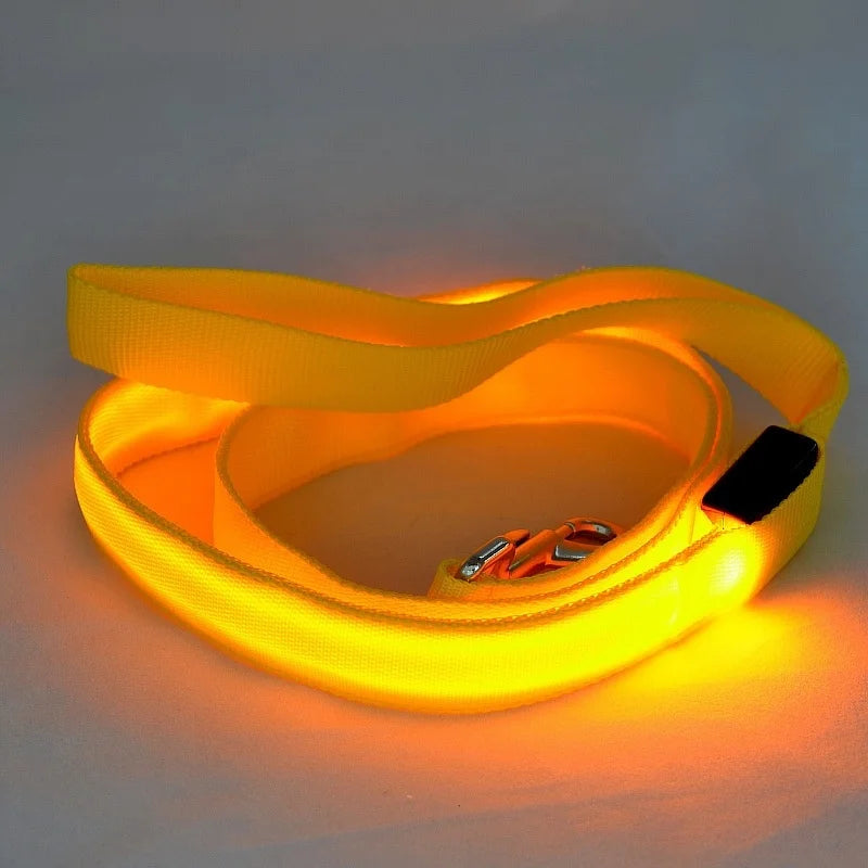 Luminous Rope Lead Leash