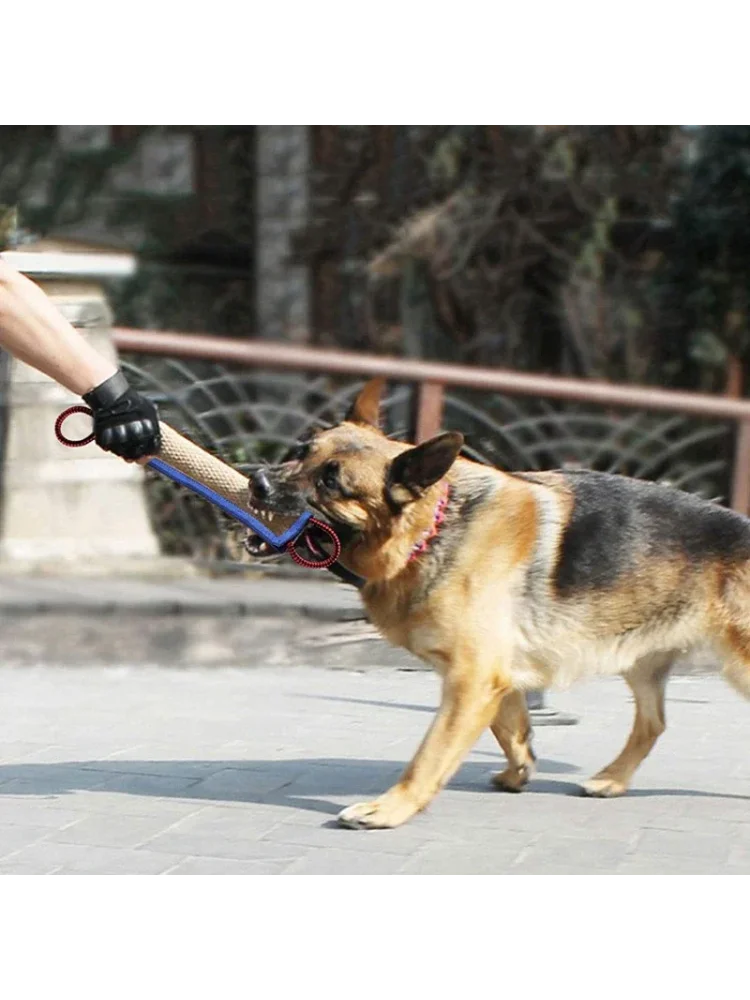 Training Chew Sticks