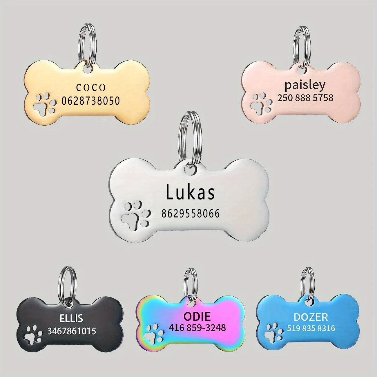 Personalized Engraved Dog Identification