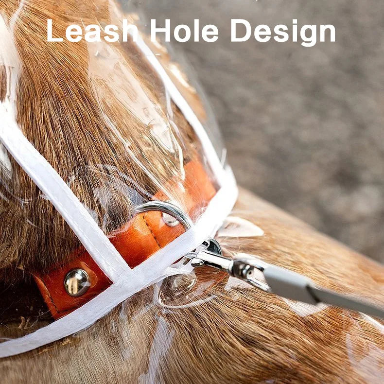 Transparent Dog Raincoat Waterproof