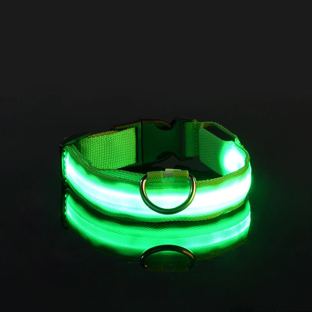Luminous Fluorescent Dog Collar