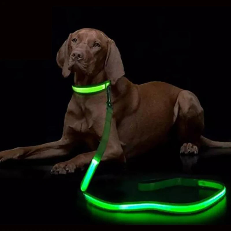 Luminous Rope Lead Leash