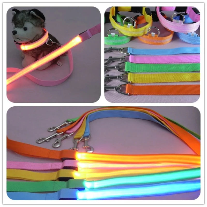 Luminous Rope Lead Leash
