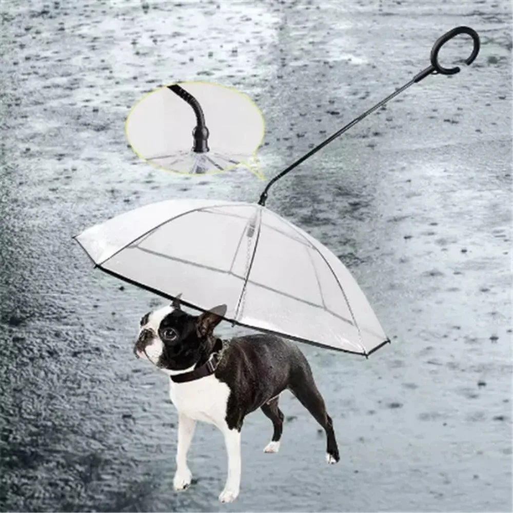 New Transparent Umbrella