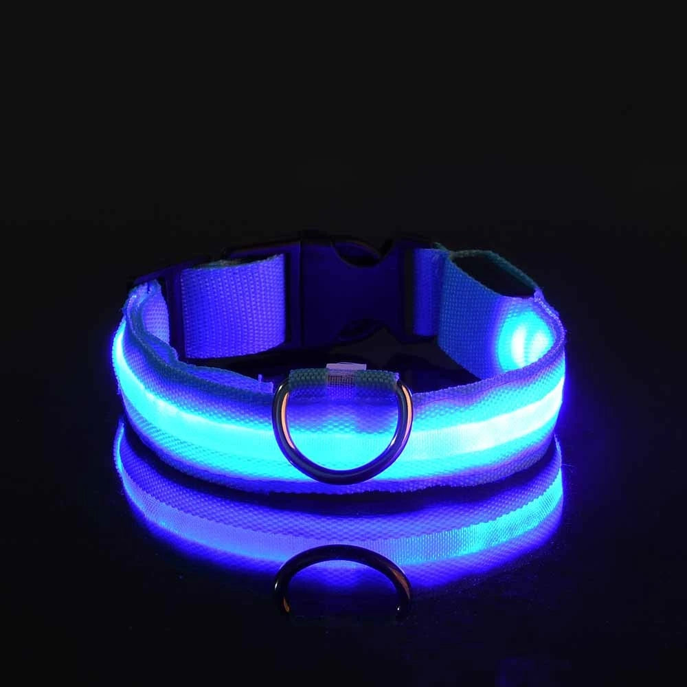 Luminous Fluorescent Dog Collar