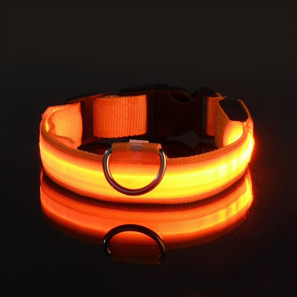 Luminous Fluorescent Dog Collar
