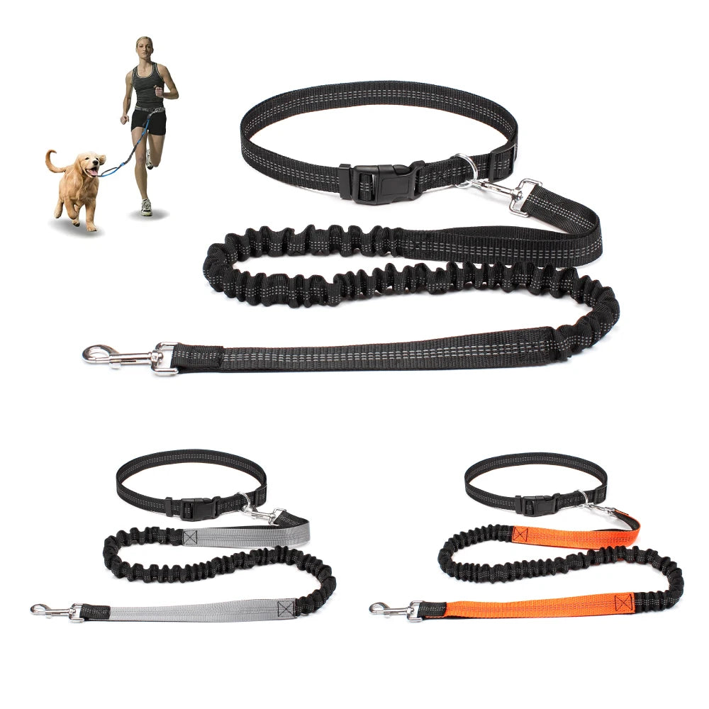 Hand Free Leash