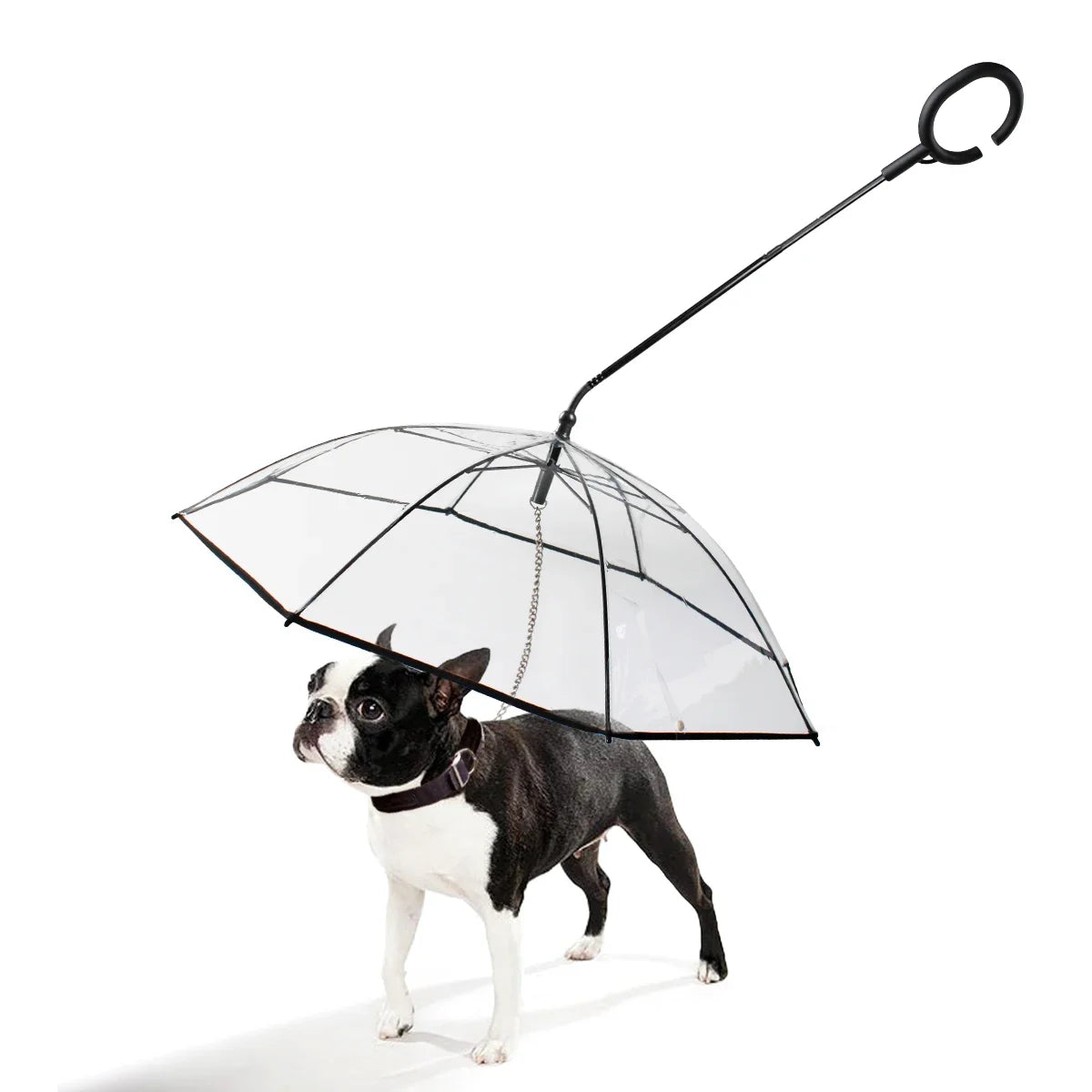 New Transparent Umbrella