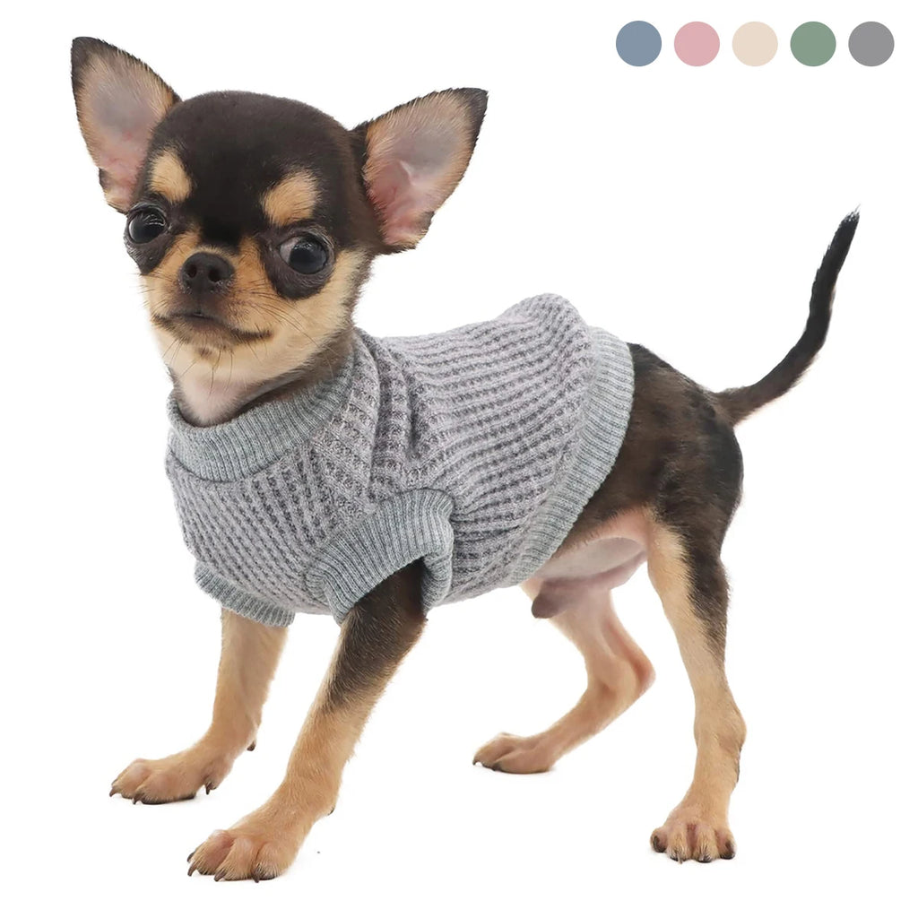 Yorkie Sweater Clothes-Atrovirens