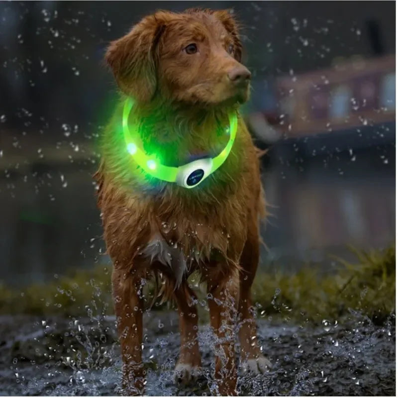Luminous Dog Collar PVC Waterproof