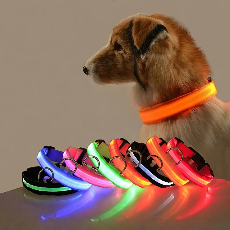 Luminous Fluorescent Dog Collar