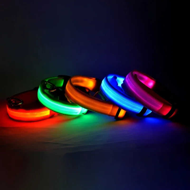 Luminous Fluorescent Dog Collar
