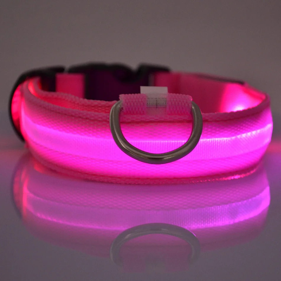 Luminous Fluorescent Dog Collar