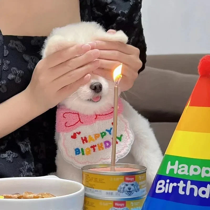 Adorable Dog Puppy Birthday Hat