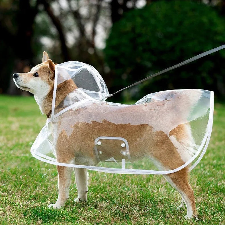 Transparent Dog Raincoat Waterproof