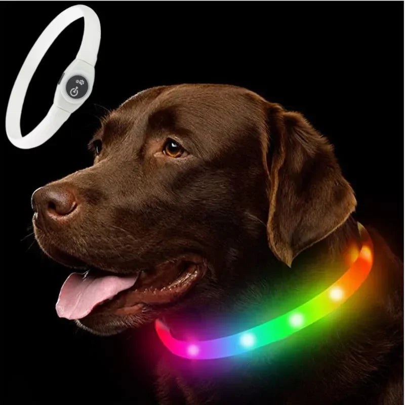 Luminous Dog Collar PVC Waterproof