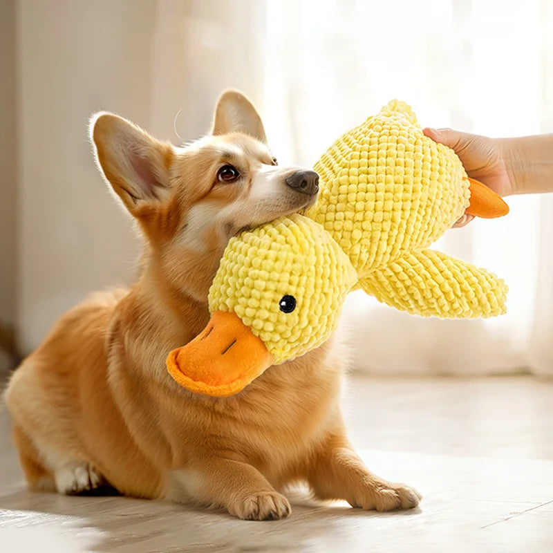 Indestructible Plush Toys
