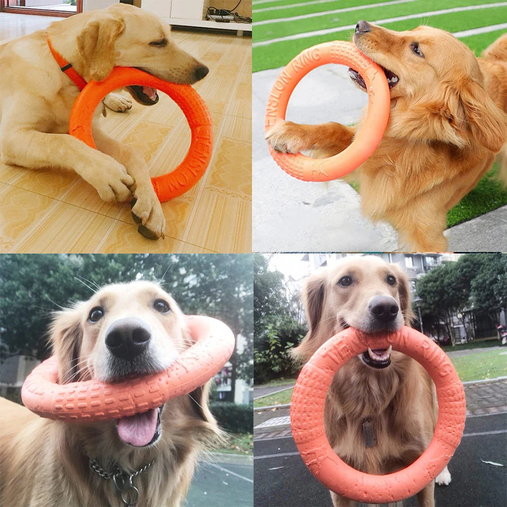 Ring Indestructible  Toys