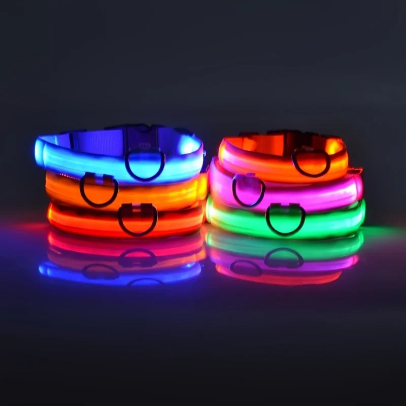 Luminous Fluorescent Dog Collar