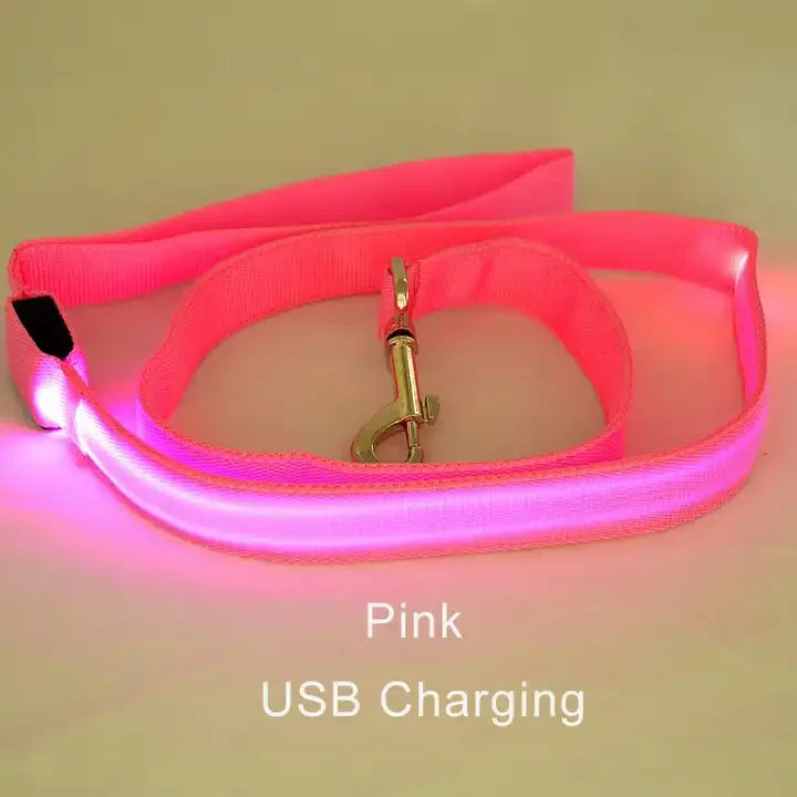 Luminous Rope Lead Leash