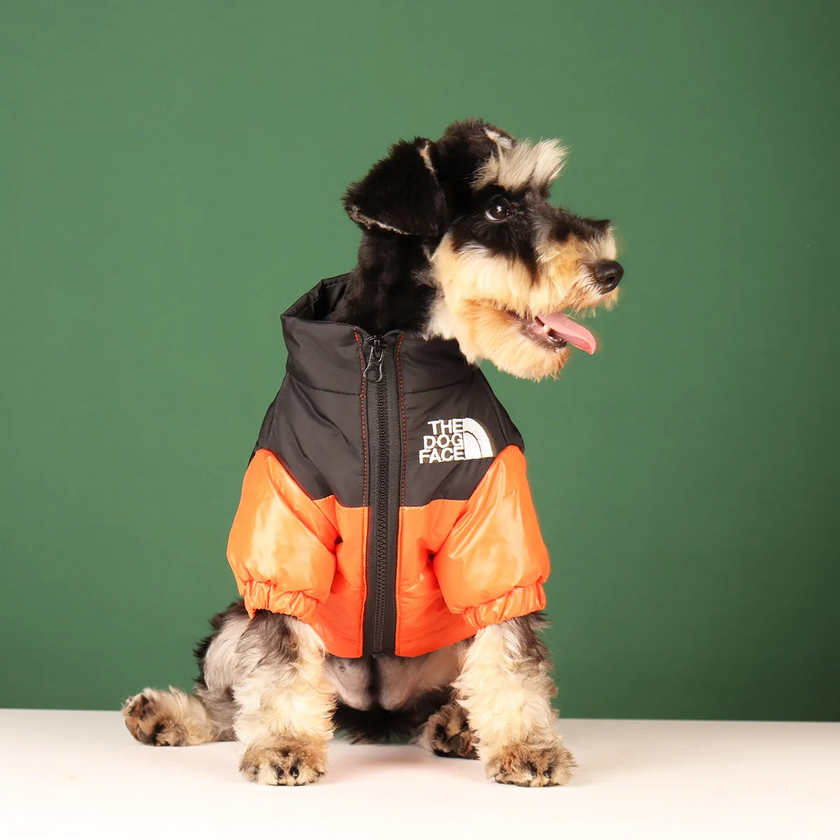 The DogFace Windproof Jacket