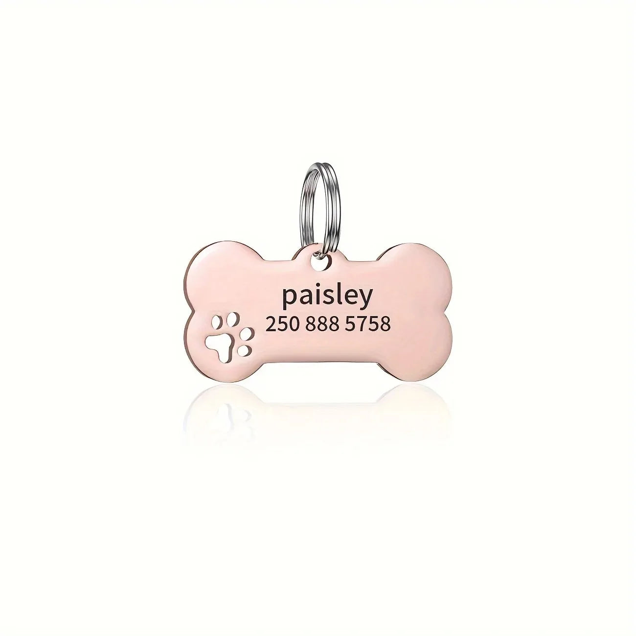 Personalized Engraved Dog Identification