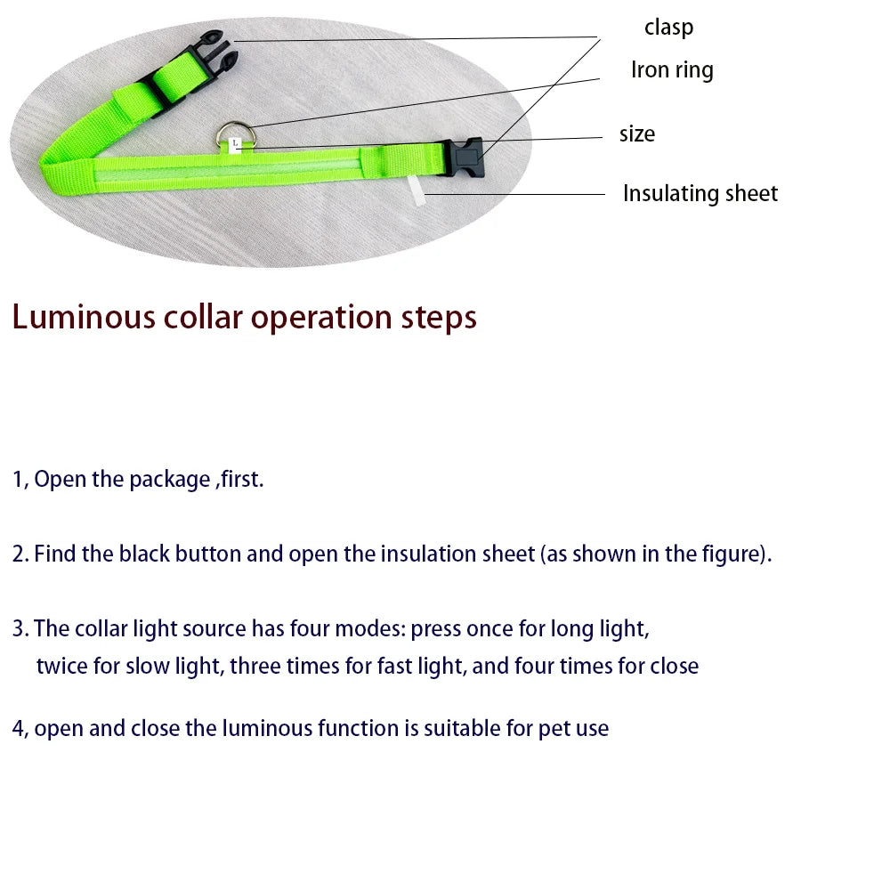Luminous Fluorescent Dog Collar