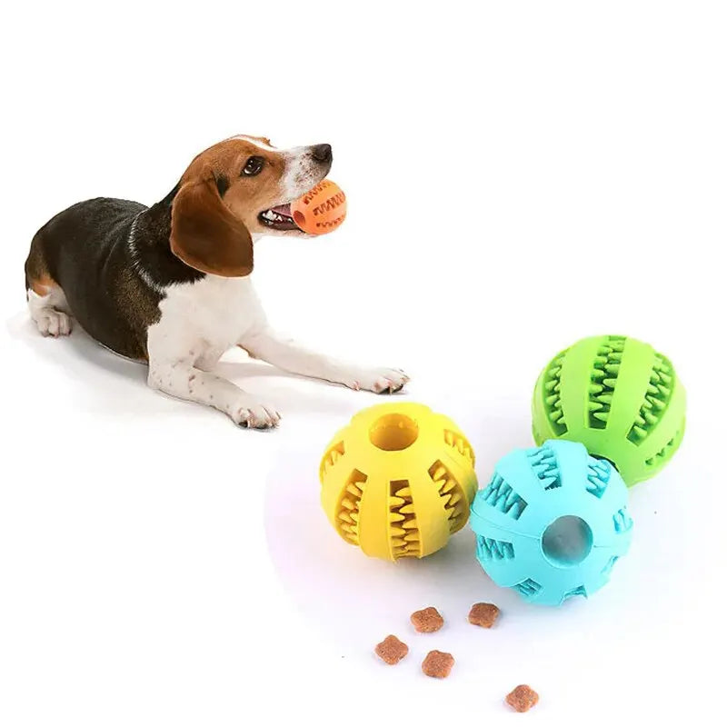 Nontoxic Bite Resistant Toy Ball