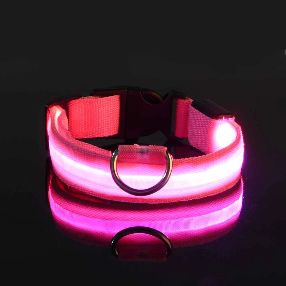 Luminous Fluorescent Dog Collar