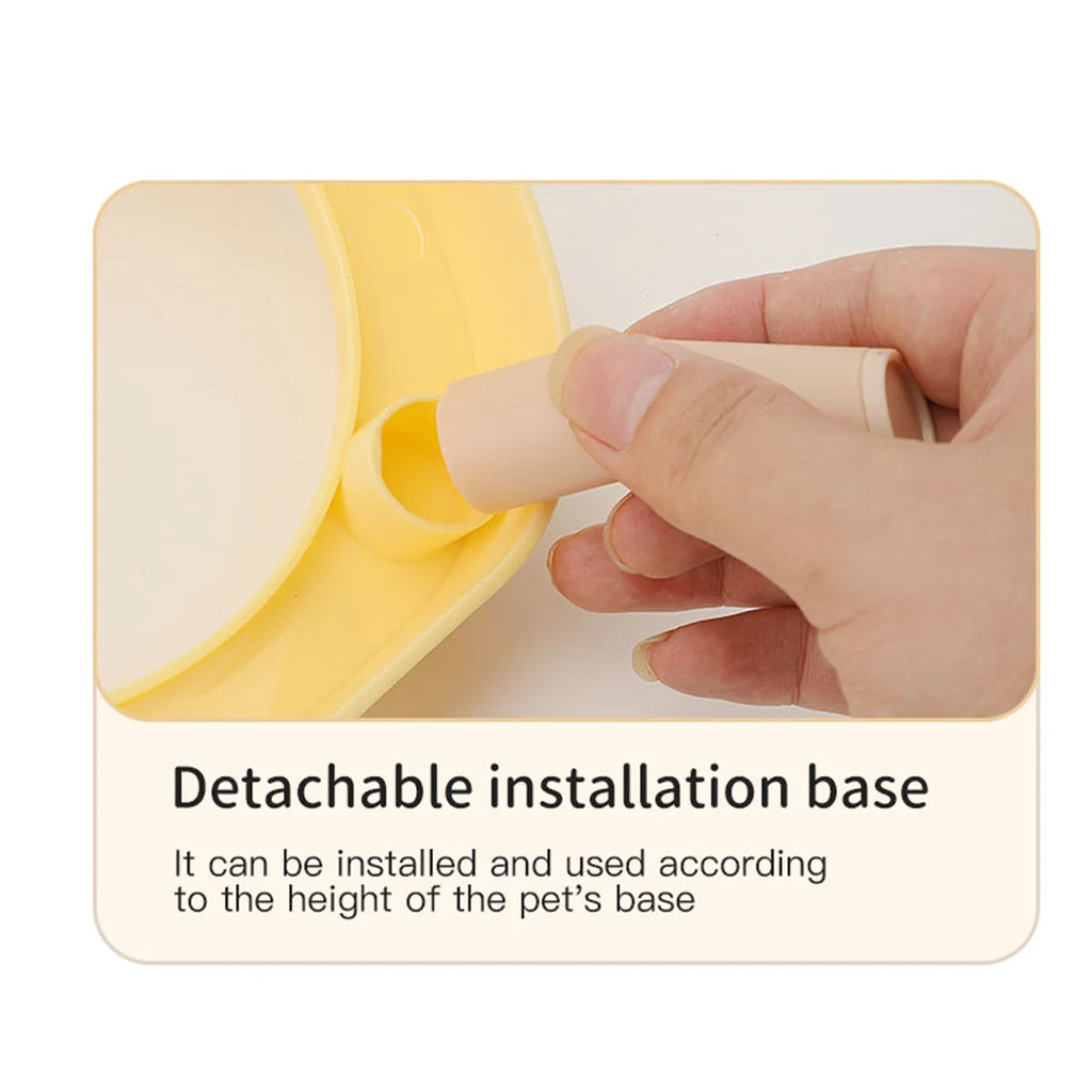 Double Bowl Fashion Feeding