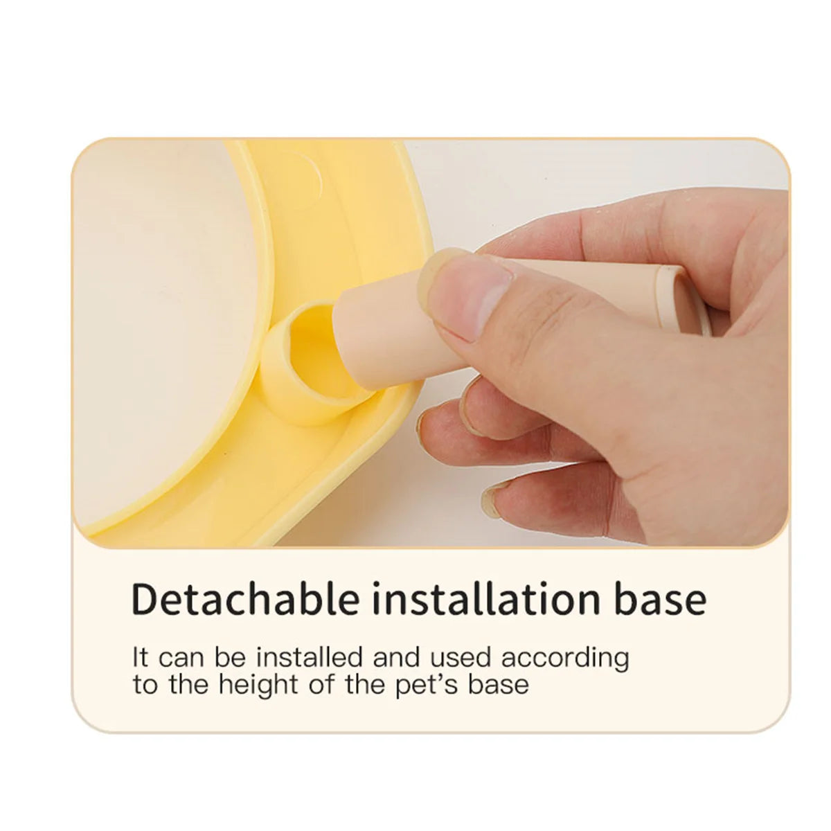 Double Bowl Fashion Feeding