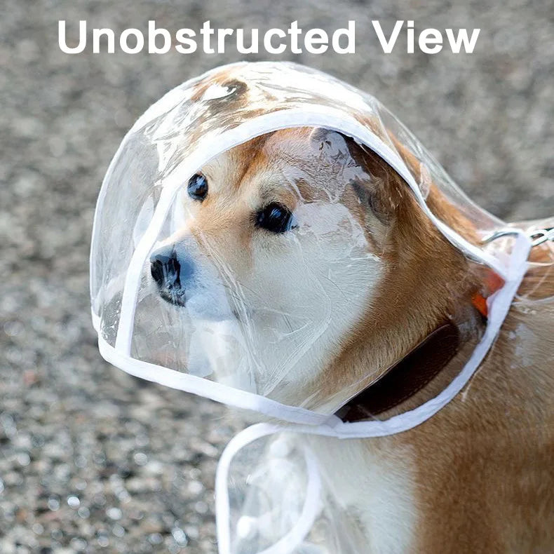 Transparent Dog Raincoat Waterproof