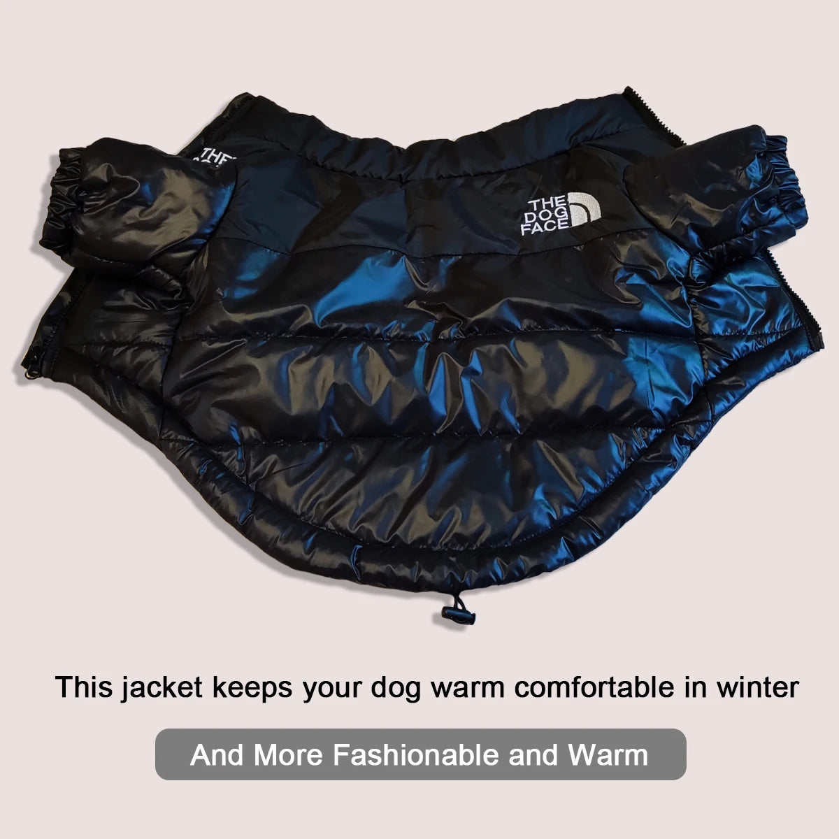 The DogFace Windproof Jacket