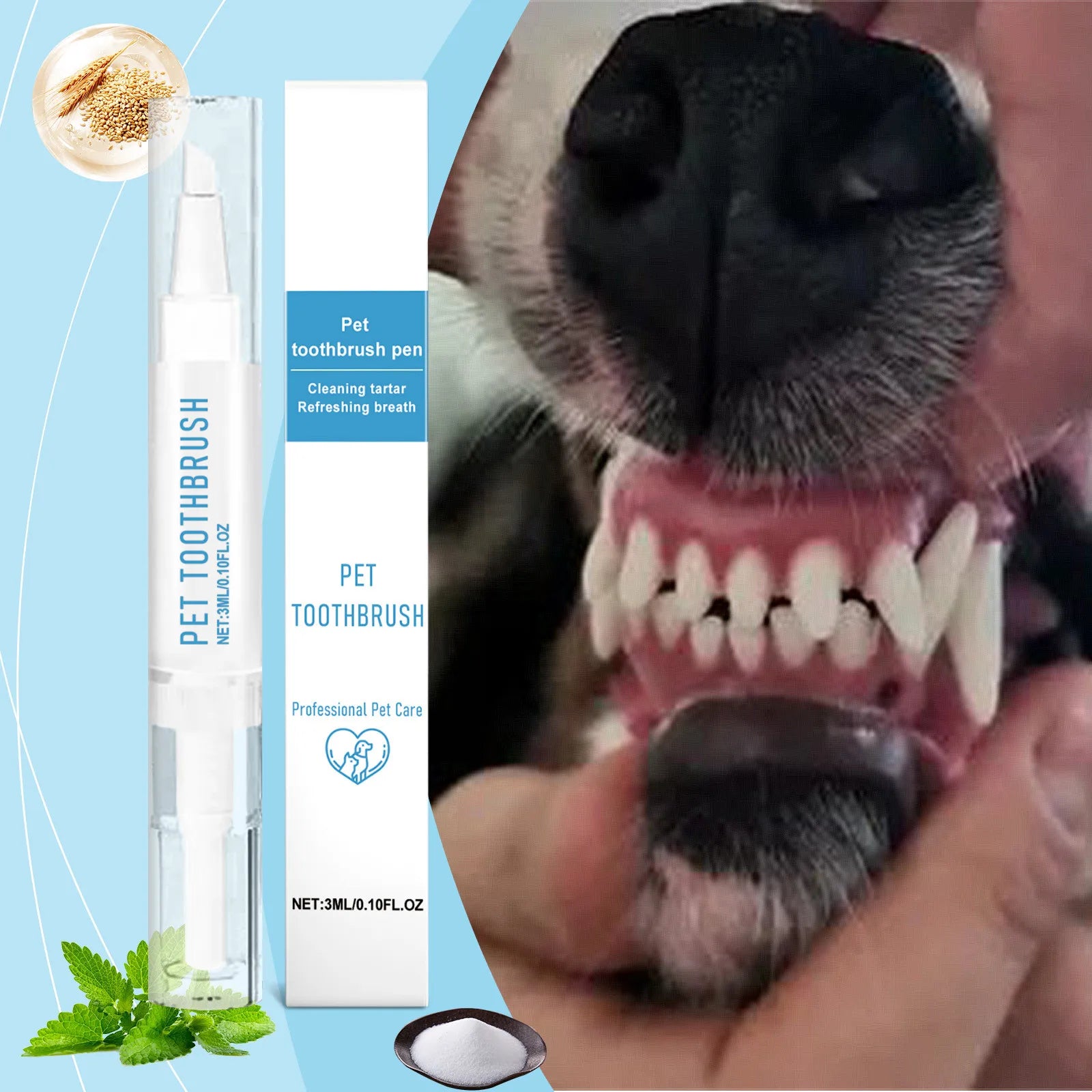Pen Teeth Cleaning