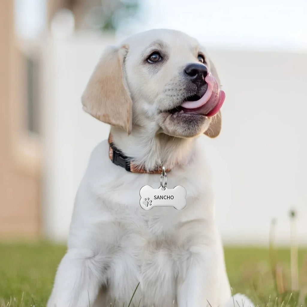 Personalized Engraved Dog Identification