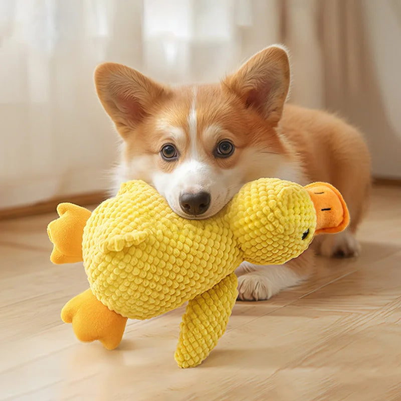Indestructible Plush Toys