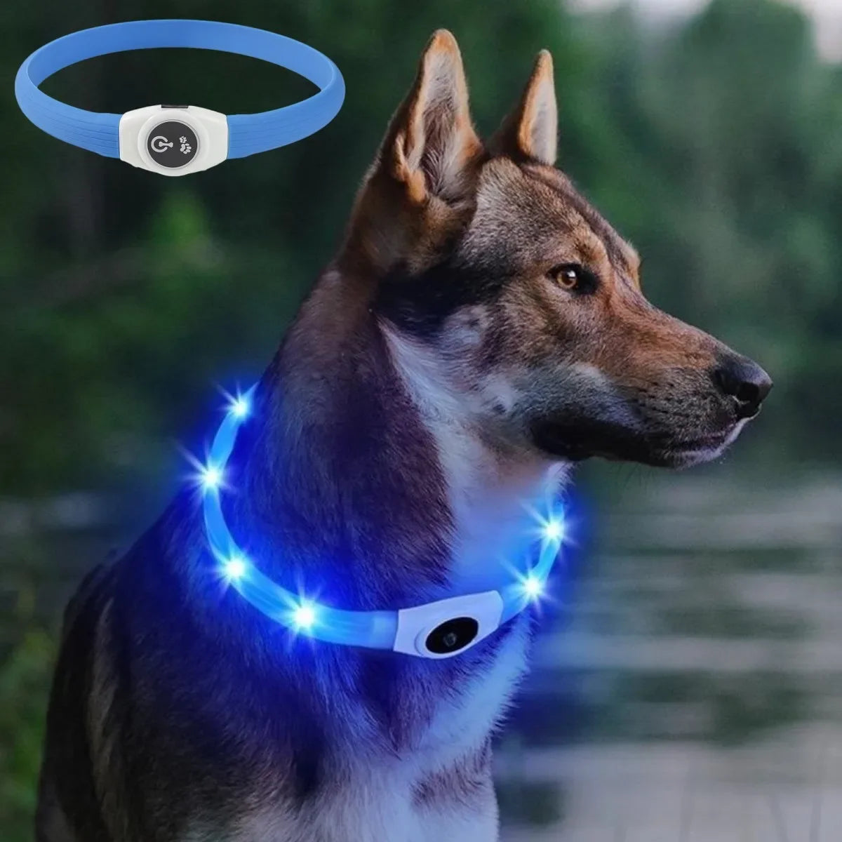 Luminous Dog Collar PVC Waterproof