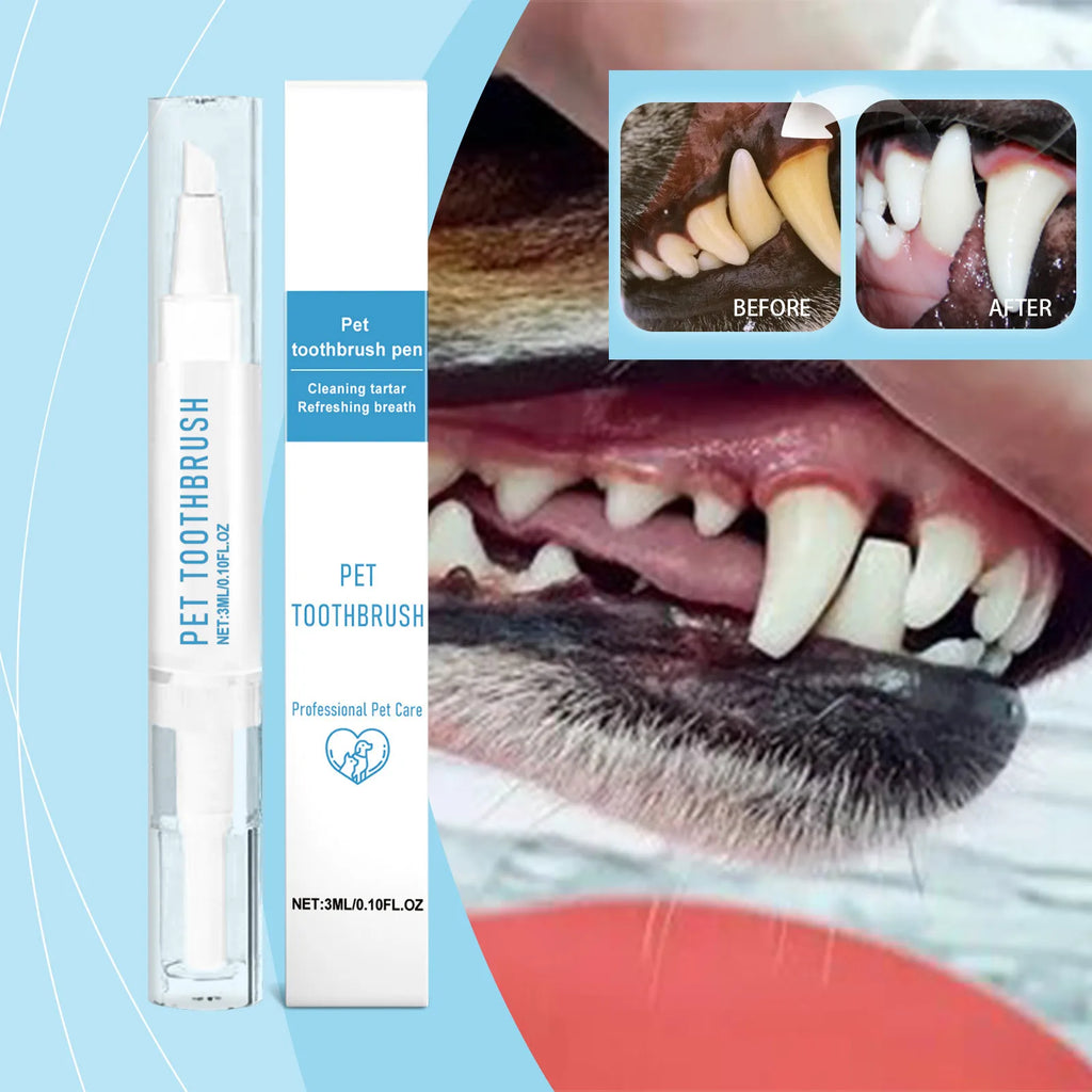 Pen Teeth Cleaning
