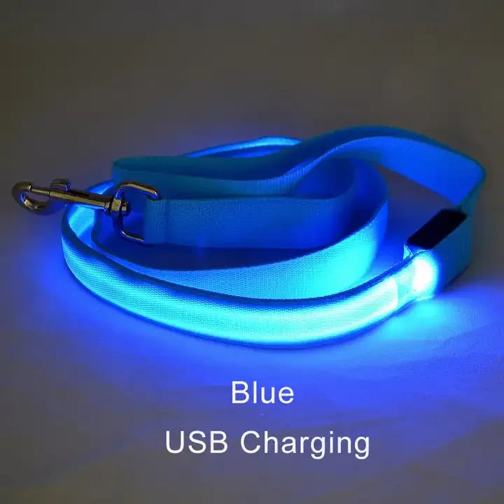 Luminous Rope Lead Leash